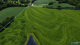 38 Acres Hershell Jones Road - Photo 12