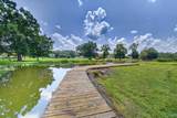 10744 Paradise Shores - Photo 43