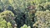 2.93 Acres Highway 231 - Photo 19