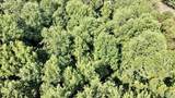 2.93 Acres Highway 231 - Photo 20