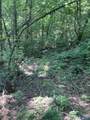 345 County Road 367 - Photo 10
