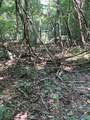 345 County Road 367 - Photo 11