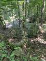 345 County Road 367 - Photo 12