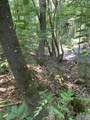 345 County Road 367 - Photo 13