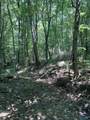 345 County Road 367 - Photo 14