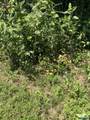 345 County Road 367 - Photo 6