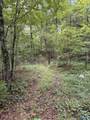 1763 Tabor Cutoff - Photo 8