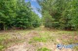 110 Acres Fischer Road - Photo 11
