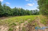 110 Acres Fischer Road - Photo 12