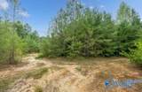 110 Acres Fischer Road - Photo 14