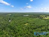 110 Acres Fischer Road - Photo 3