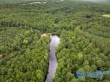 110 Acres Fischer Road - Photo 7