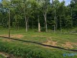 Lot 4 County Road 114 - Photo 4