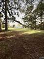 233 Kellys Way Drive - Photo 10