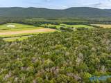 9 Acres County Road 171 - Photo 14