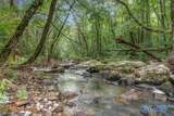 112 Acres County Road 431 - Photo 1