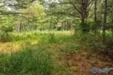 112 Acres County Road 431 - Photo 10