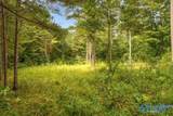 112 Acres County Road 431 - Photo 11