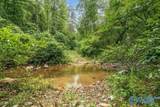112 Acres County Road 431 - Photo 12