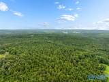 112 Acres County Road 431 - Photo 13