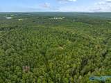 112 Acres County Road 431 - Photo 14