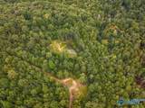 112 Acres County Road 431 - Photo 15