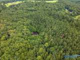 112 Acres County Road 431 - Photo 16