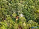 112 Acres County Road 431 - Photo 17