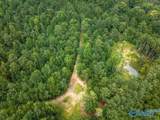 112 Acres County Road 431 - Photo 19