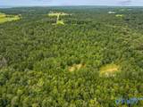 112 Acres County Road 431 - Photo 20