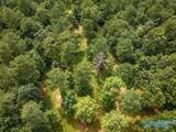 112 Acres County Road 431 - Photo 21