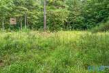 112 Acres County Road 431 - Photo 22