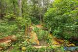 112 Acres County Road 431 - Photo 27