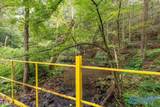 112 Acres County Road 431 - Photo 28