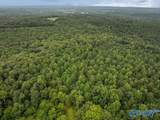 112 Acres County Road 431 - Photo 29