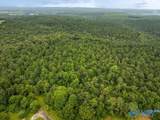 112 Acres County Road 431 - Photo 30