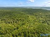 112 Acres County Road 431 - Photo 31