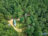 112 Acres County Road 431 - Photo 5