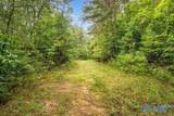 112 Acres County Road 431 - Photo 6