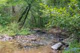 112 Acres County Road 431 - Photo 8