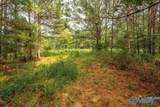 112 Acres County Road 431 - Photo 9