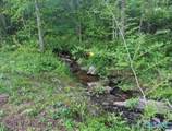 3357 County Road 61 - Photo 19