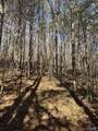 lot 11 A County Road 3782 - Photo 1
