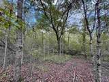 29.57 Ac County Road 155 - Photo 8