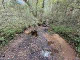 29.57 Ac County Road 155 - Photo 9