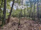 29.57 Ac County Road 155 - Photo 10