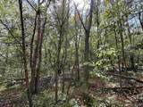 29.57 Ac County Road 155 - Photo 11