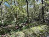 29.57 Ac County Road 155 - Photo 13