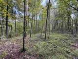 29.57 Ac County Road 155 - Photo 15