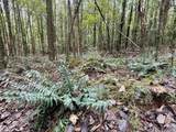 29.57 Ac County Road 155 - Photo 16